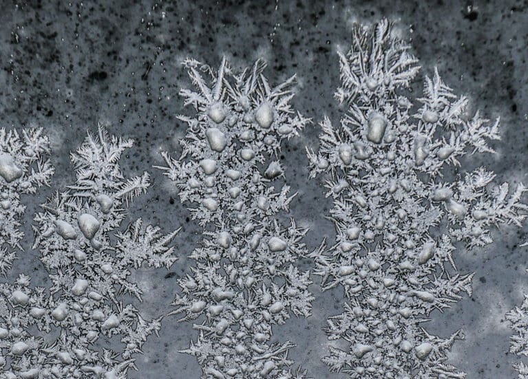 Synthesis Peptides - Close-up of intricate frost patterns and ice crystals on a window, forming dense clusters and delicate, spiky shapes—resembling the complex structures seen in research peptides—set against a dark, mottled background.